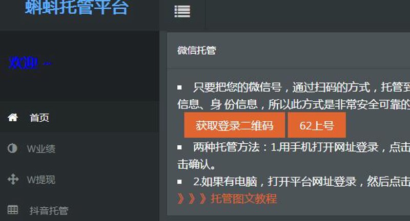 AI站群程序：互联网领域的革新者
