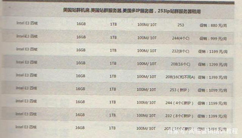 站群网站的 SEO 优化策略：构建行业动态导向
